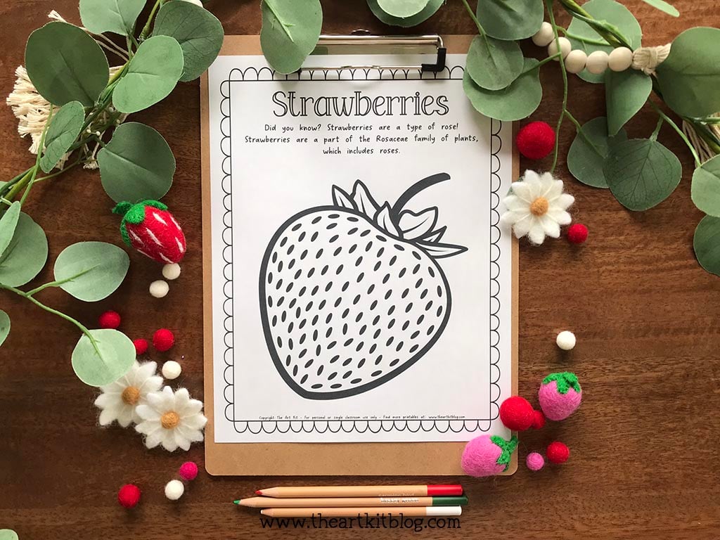 Strawberry coloring page with fun fact free printable â the art kit