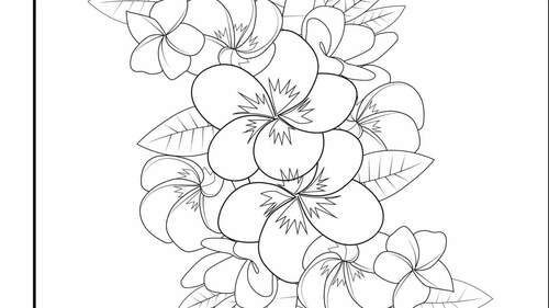 Flowers coloring pages for adults stress relief coloring book for print