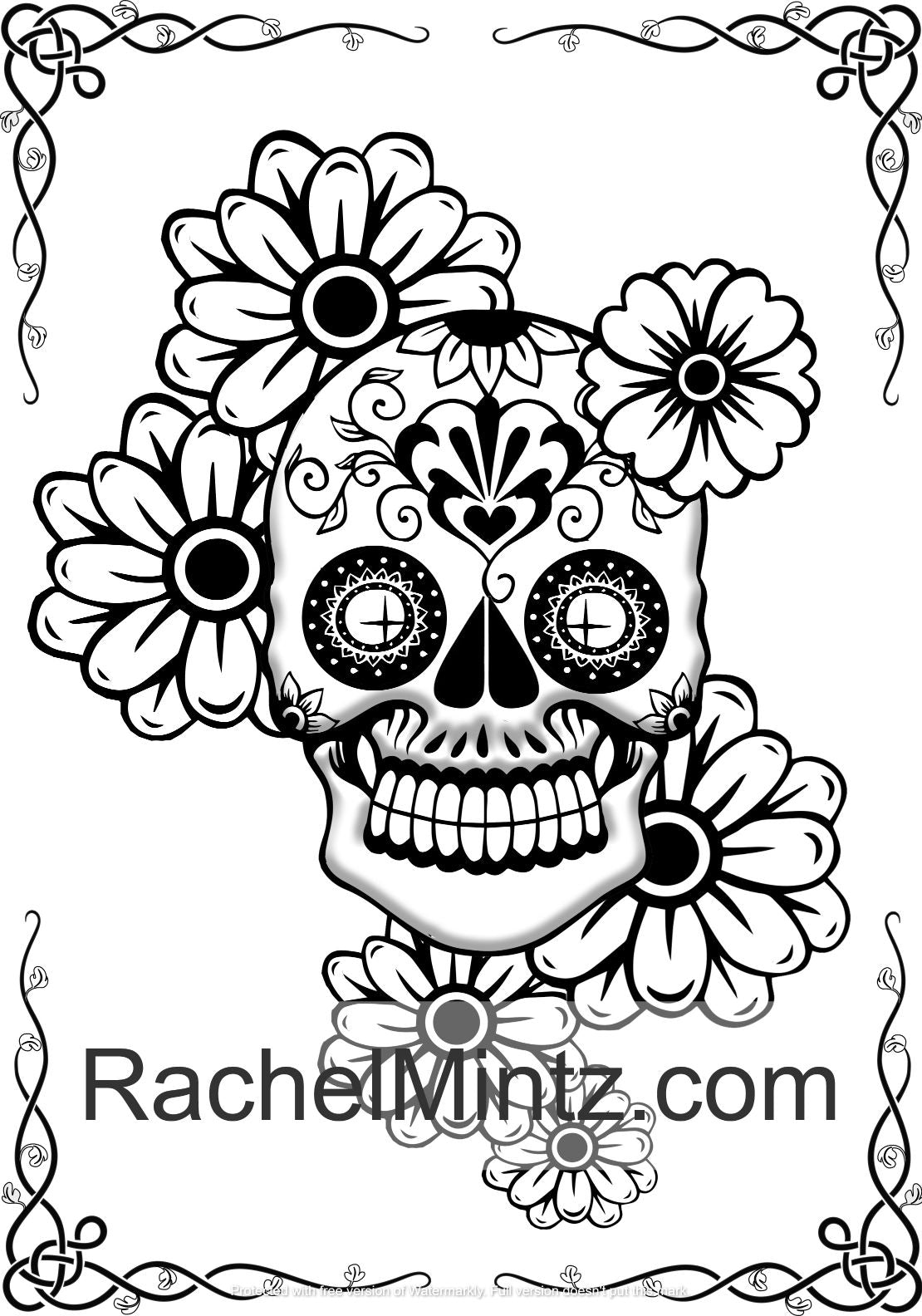 Skull mandalas coloring book