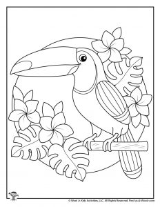 Summer adult coloring pages woo jr kids activities childrens publishing