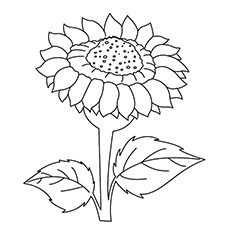 Beautiful sunflower coloring pages for your little girl