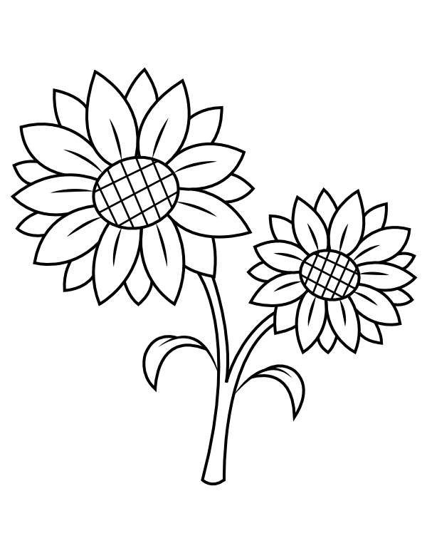 Printable sunflower coloring page