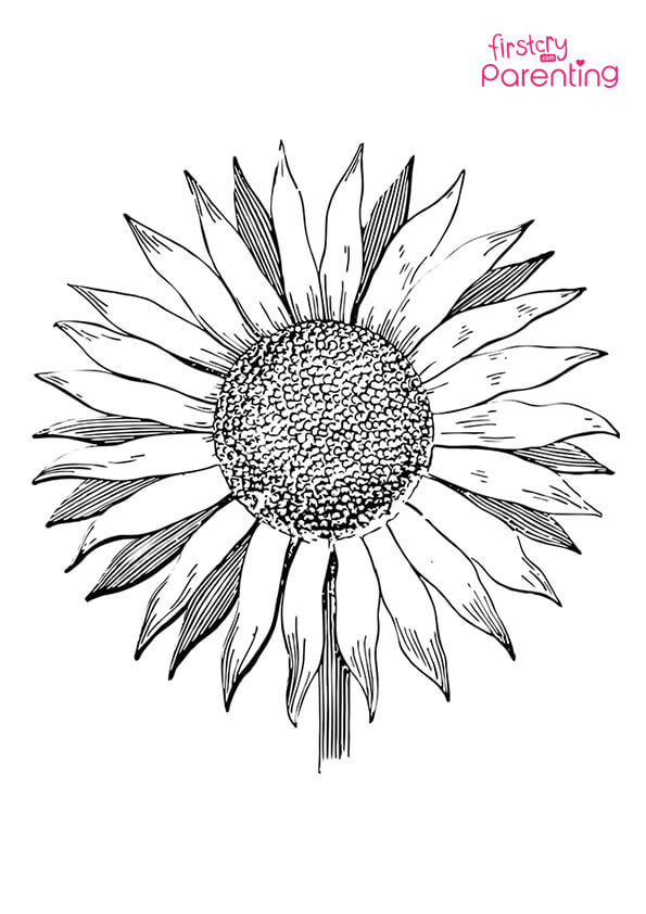 Easy printable sunflower coloring pages for kids