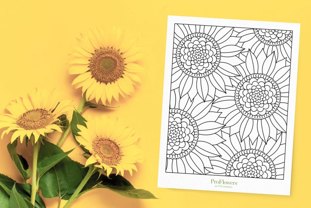 Free printable sunflower coloring pages for all ages