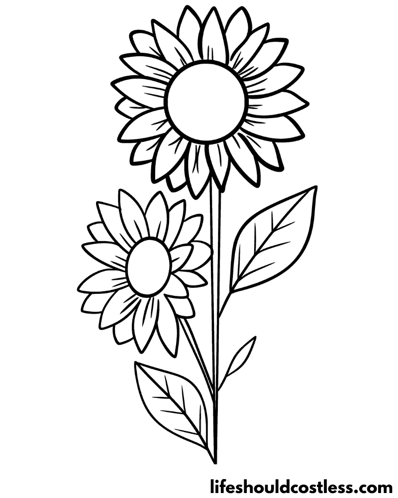 Sunflower coloring pages free printable pdf templates