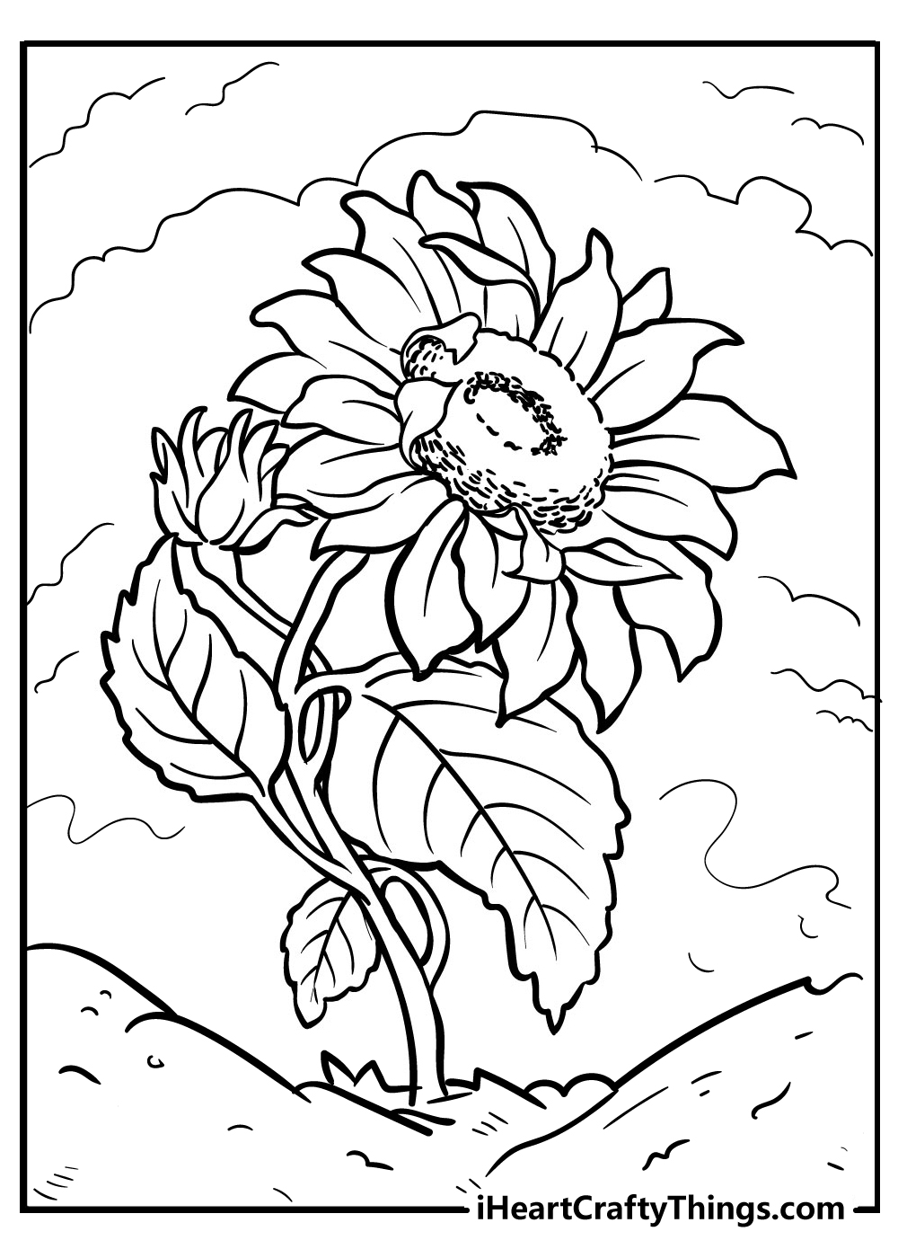 Sunflower coloring pages free printables