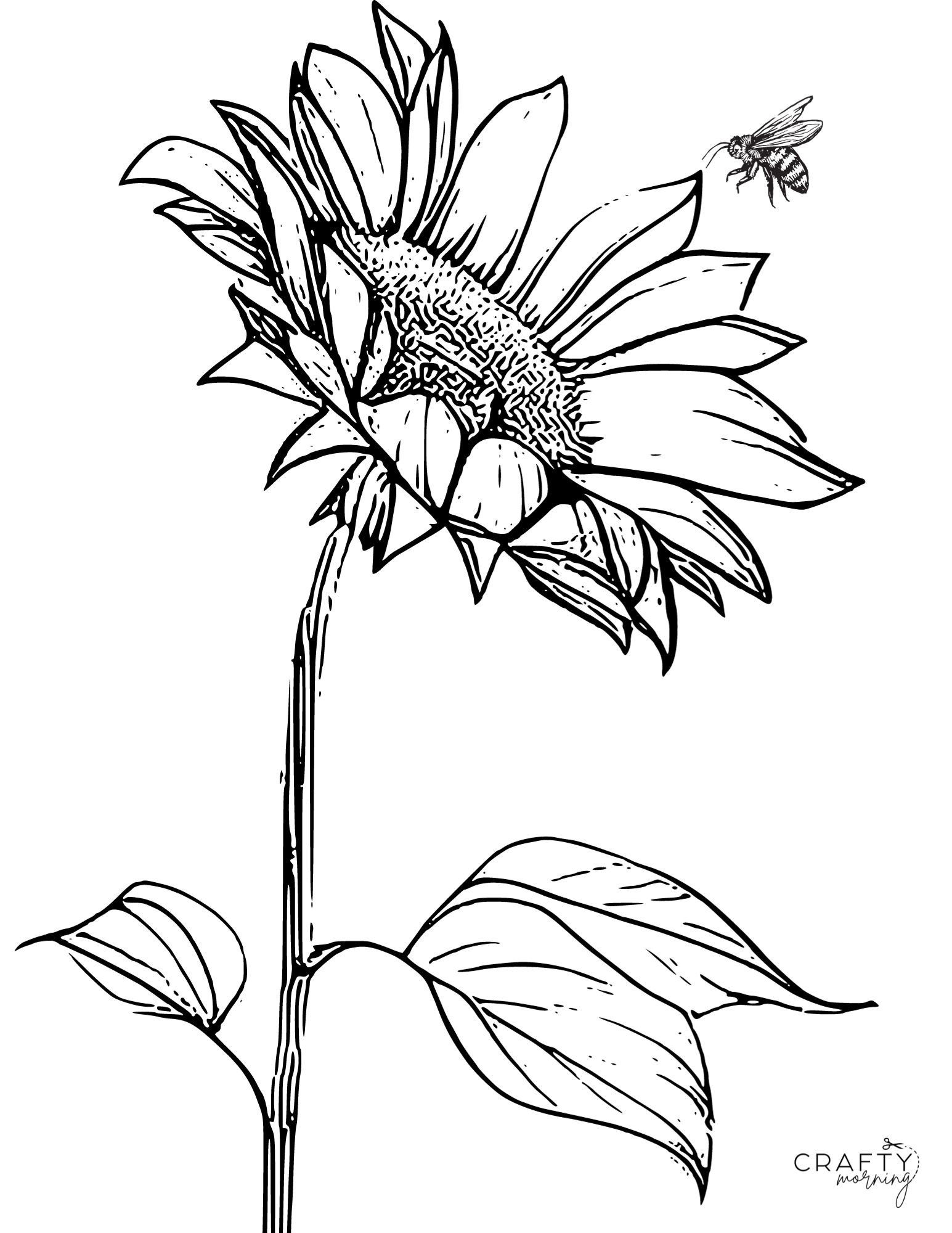 Free printable sunflower coloring pages