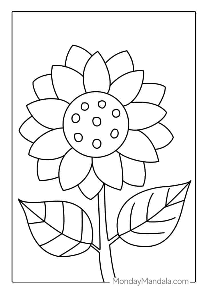 Sunflower coloring pages free pdf printables