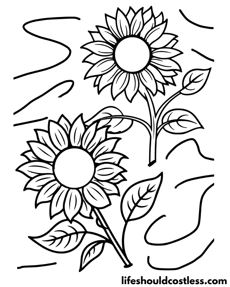 Sunflower coloring pages free printable pdf templates