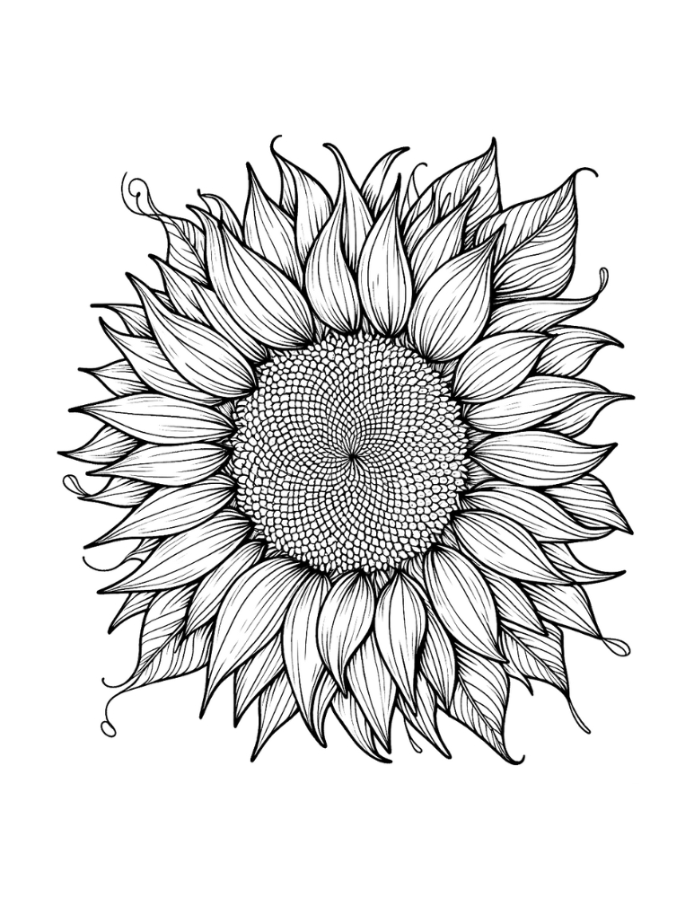 Free printable sunflower coloring pages