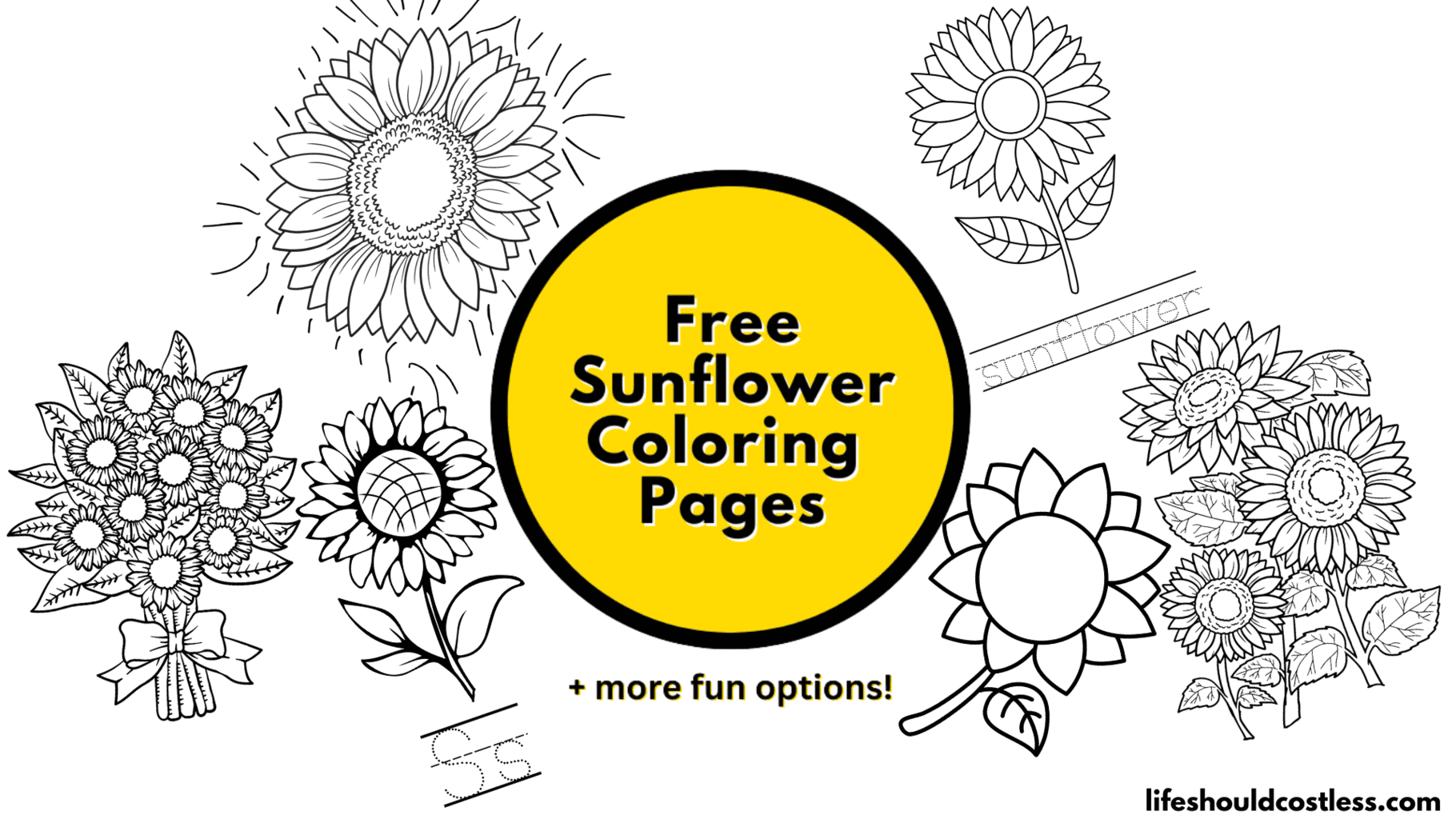 Sunflower coloring pages free printable pdf templates