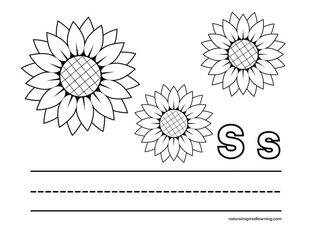 Sunflower coloring pages for kids