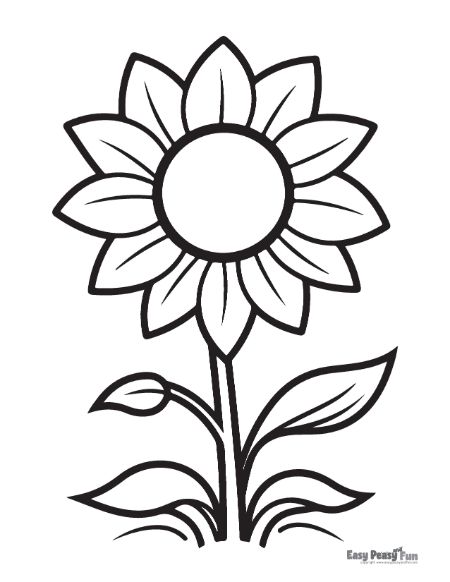 Printable sunflower coloring pages â sheets