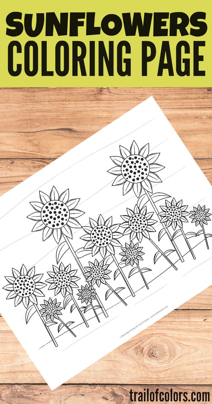 Lovely sunflowers coloring page