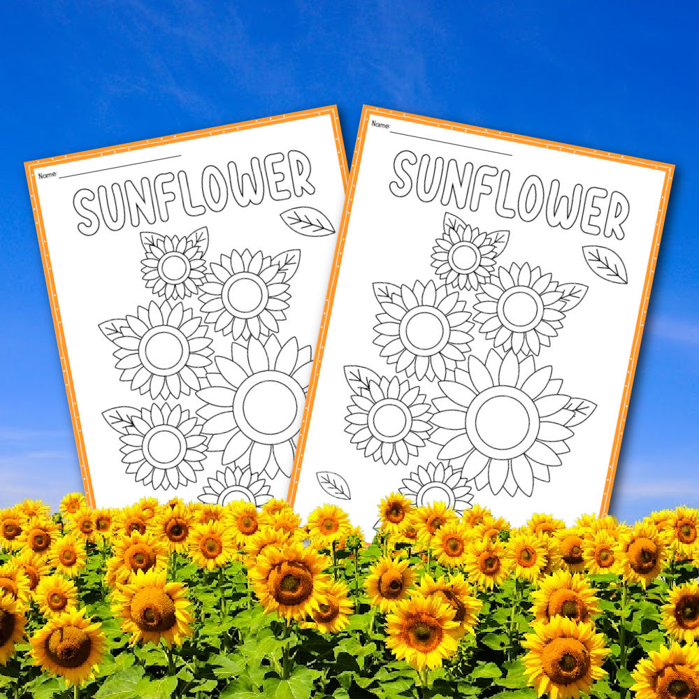 Sunflower coloring page â