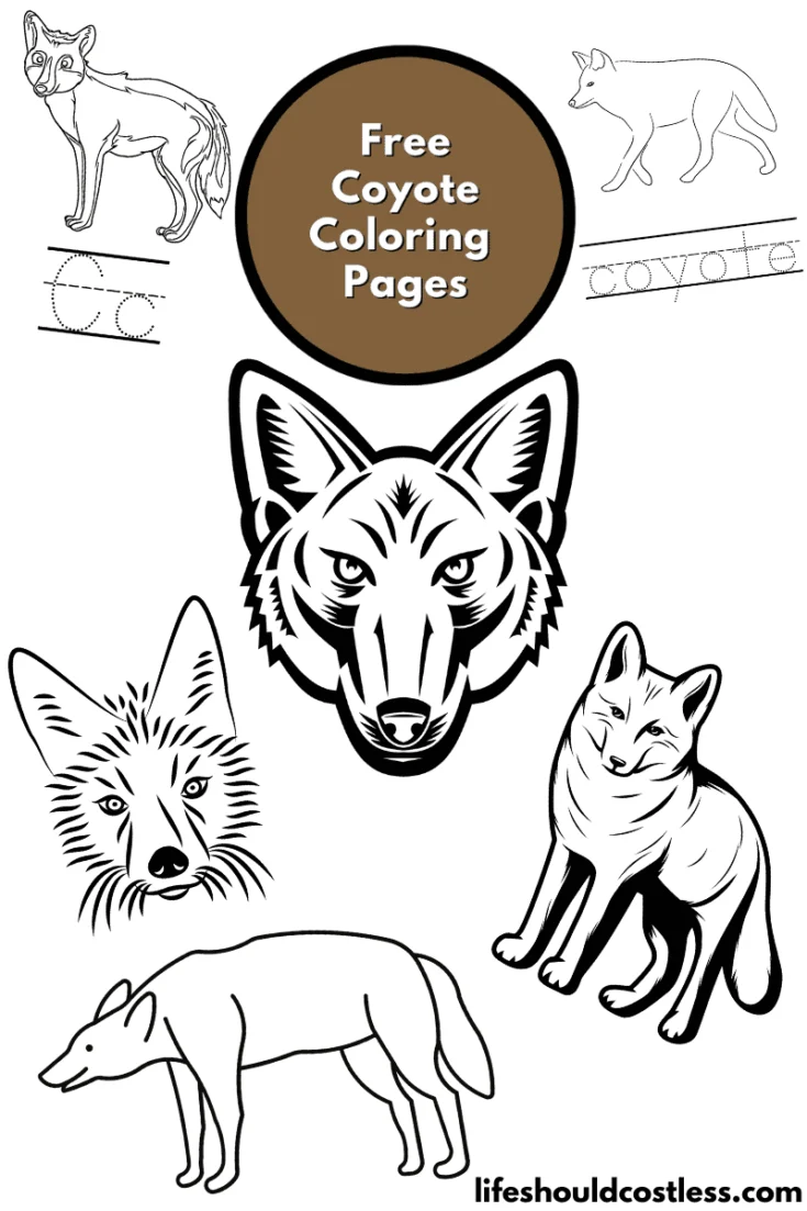 Coyote coloring pages free printable pdf templates