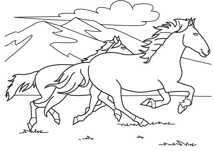 Horses running race coloring pages horse coloring pages animal coloring pages coloring pages