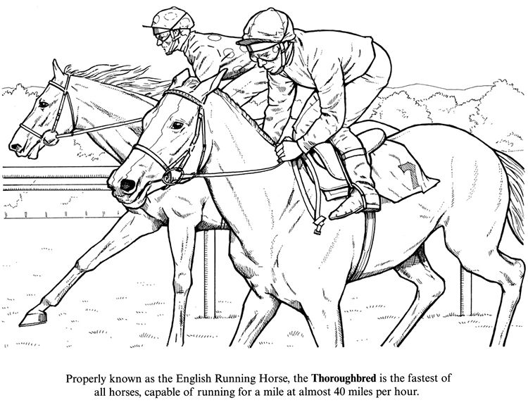 Horse coloring page of two racing thoroughbreds horse coloring pages horse coloring horses