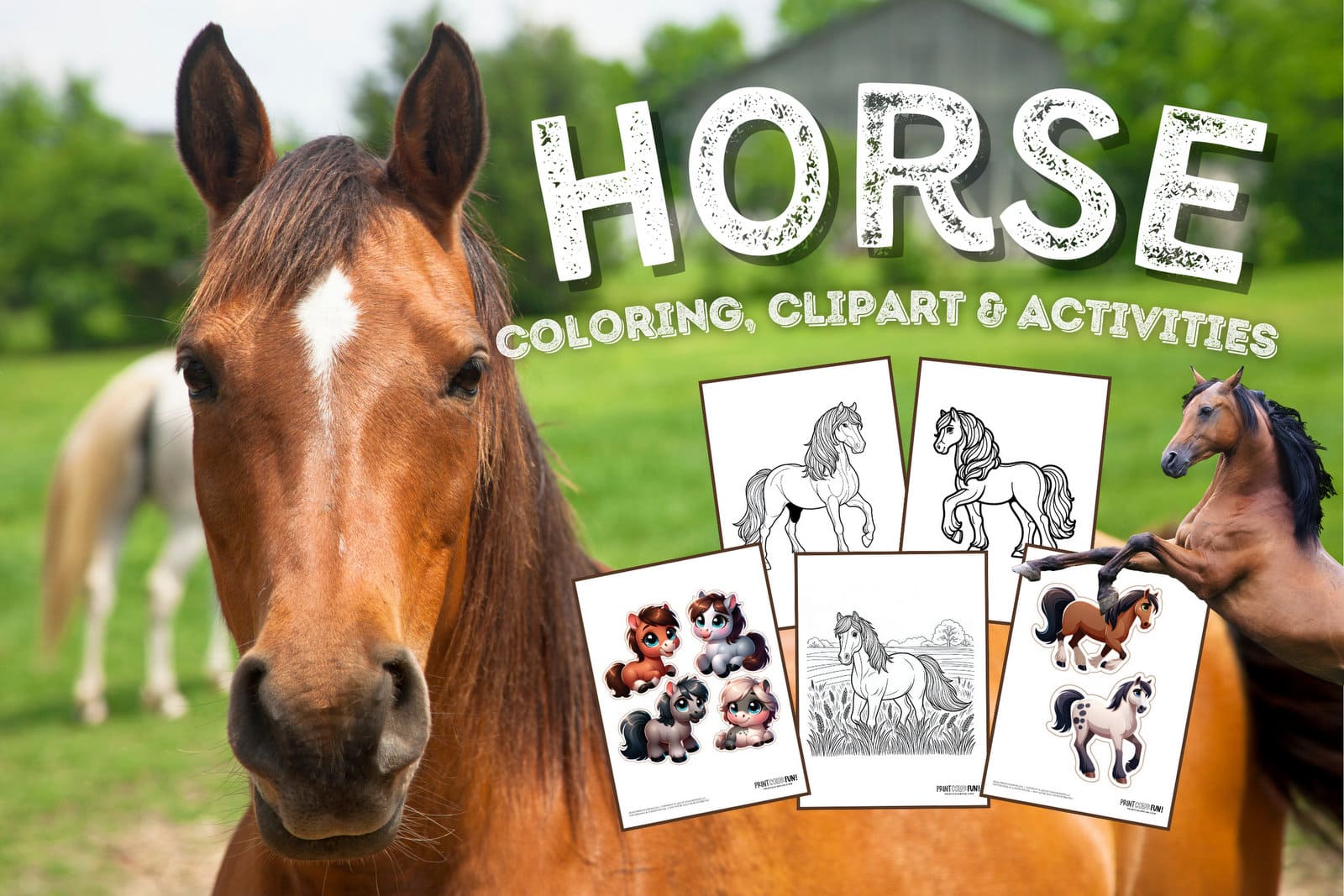 Beautiful horse coloring pages plus crafts educational games to saddle up for fun at
