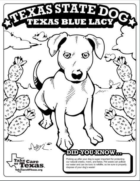 Texas coloring pages take care of texas