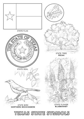 Texas state symbols coloring page texas symbols flag coloring pages state symbols