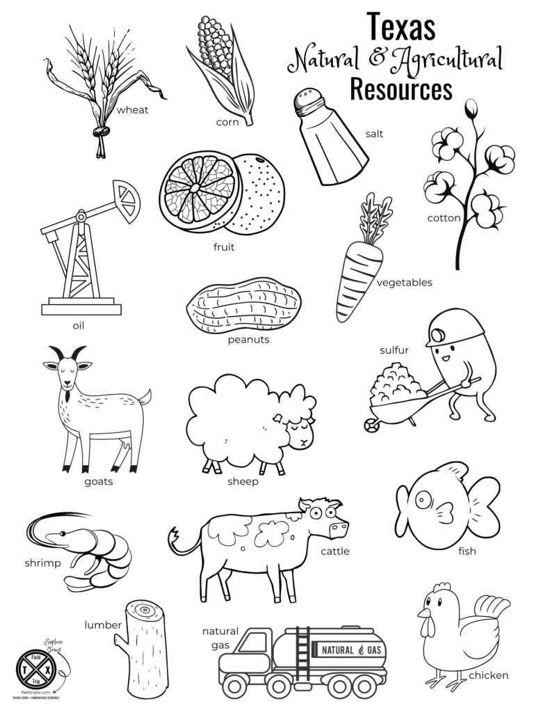 Texas natural resources coloring sheet