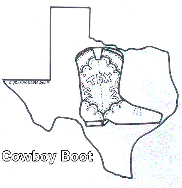 Cowboy boot