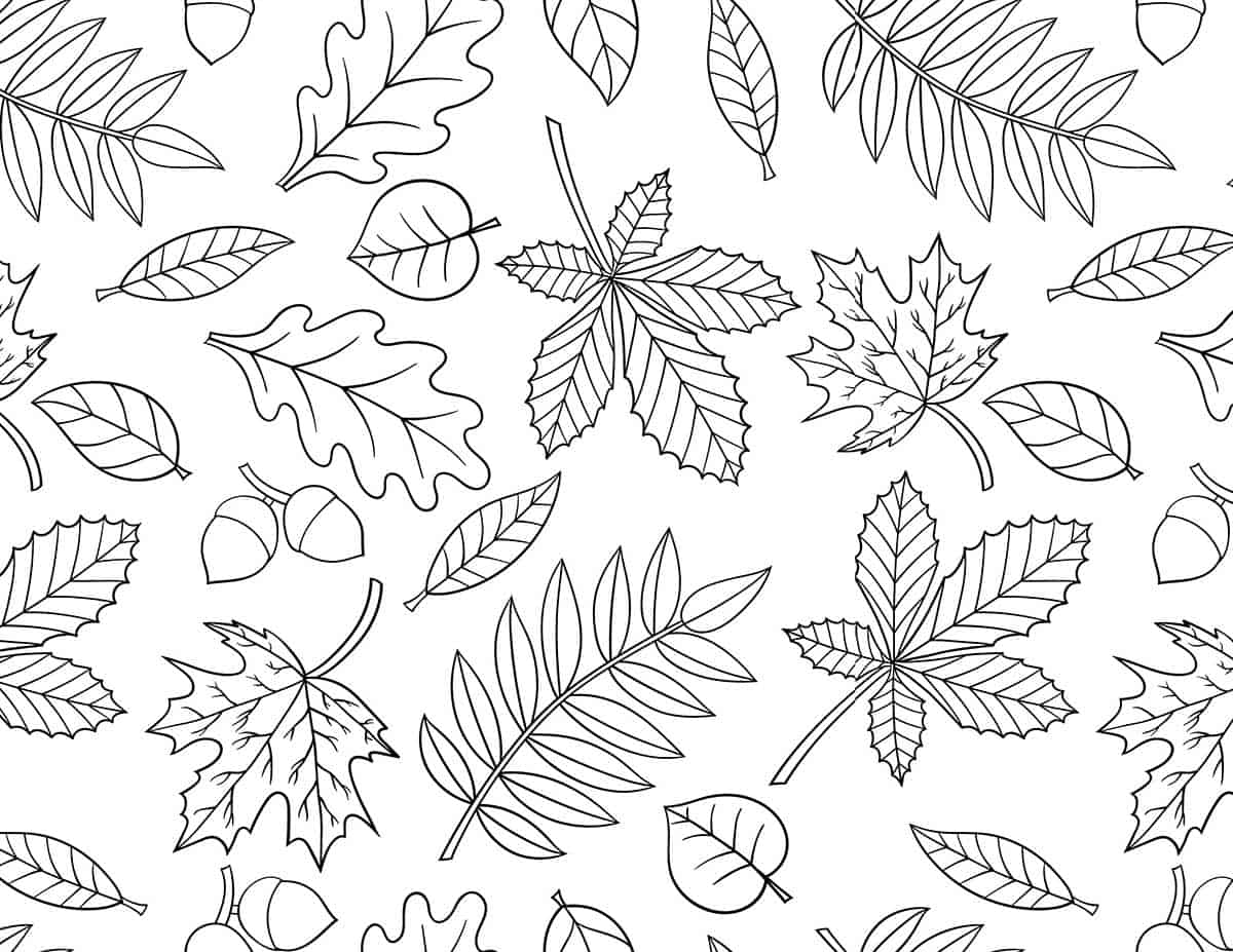 Free printable fall coloring pages skip to my lou