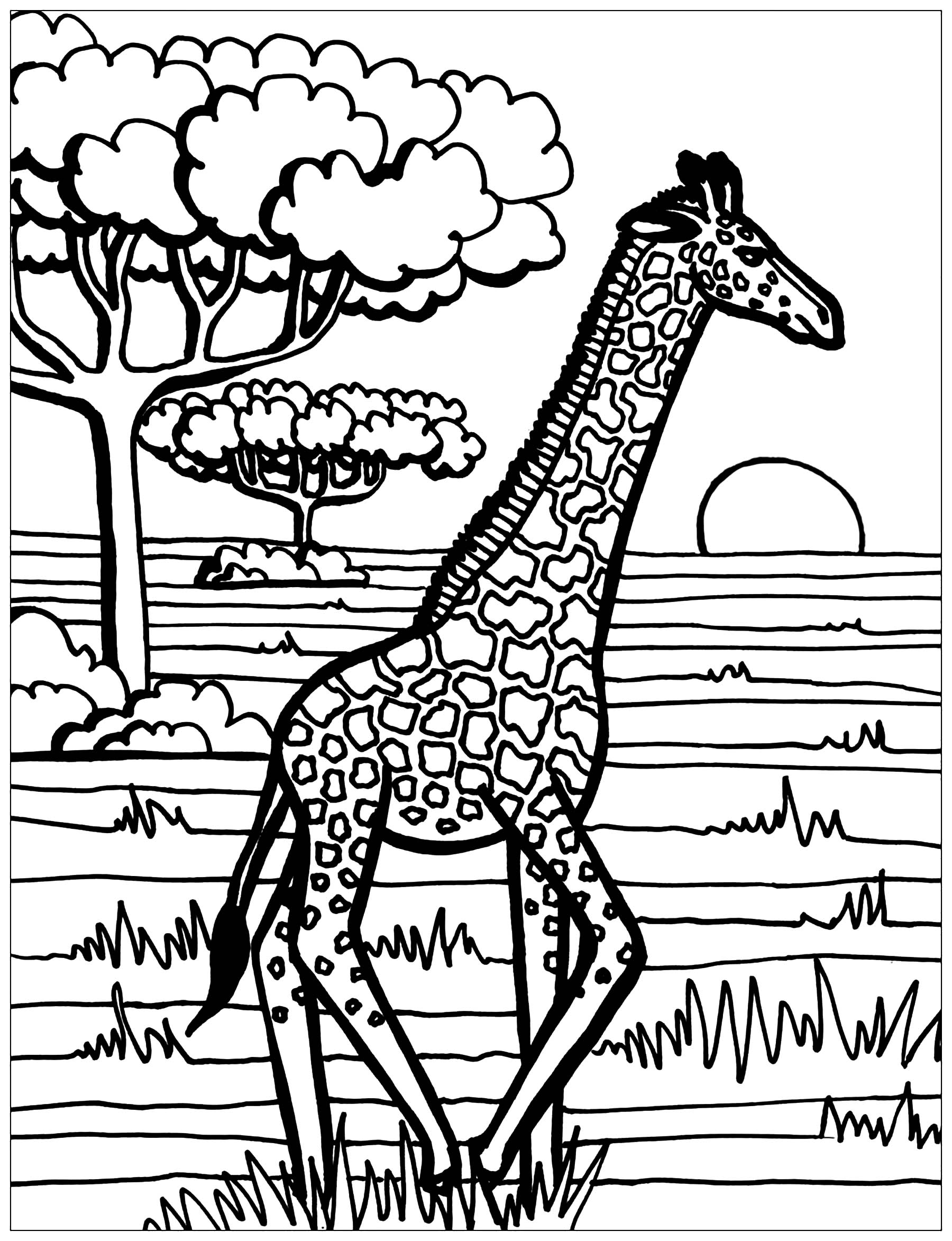 Giraffe coloring page