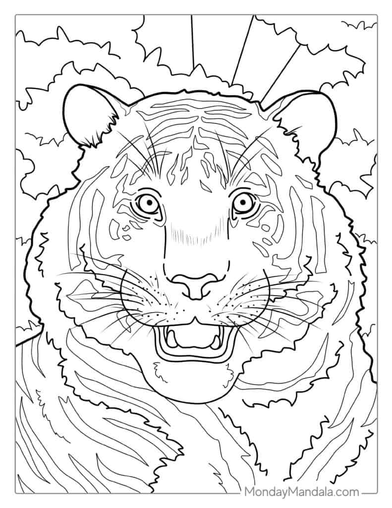 Tiger coloring pages free pdf printables