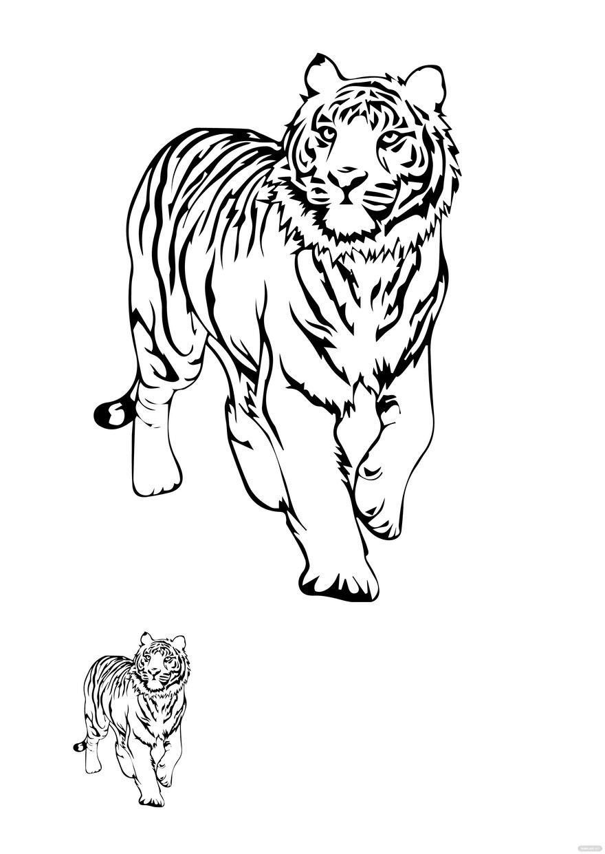 Free white tiger coloring page