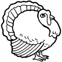 Turkey tom coloring pages