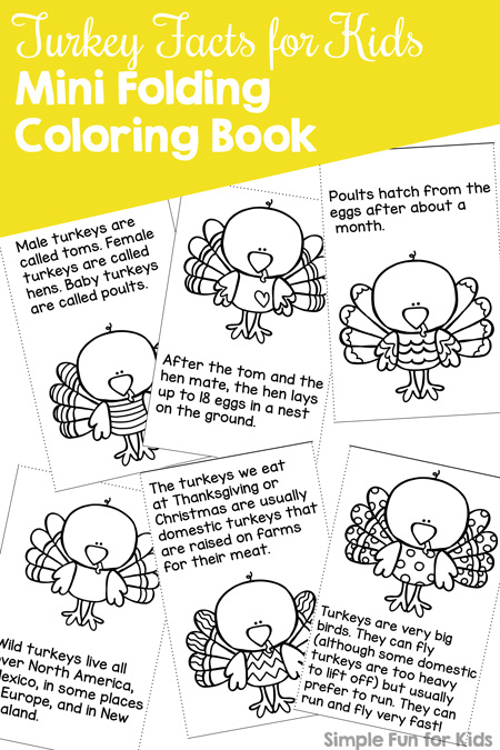 Turkey facts for kids mini folding coloring book