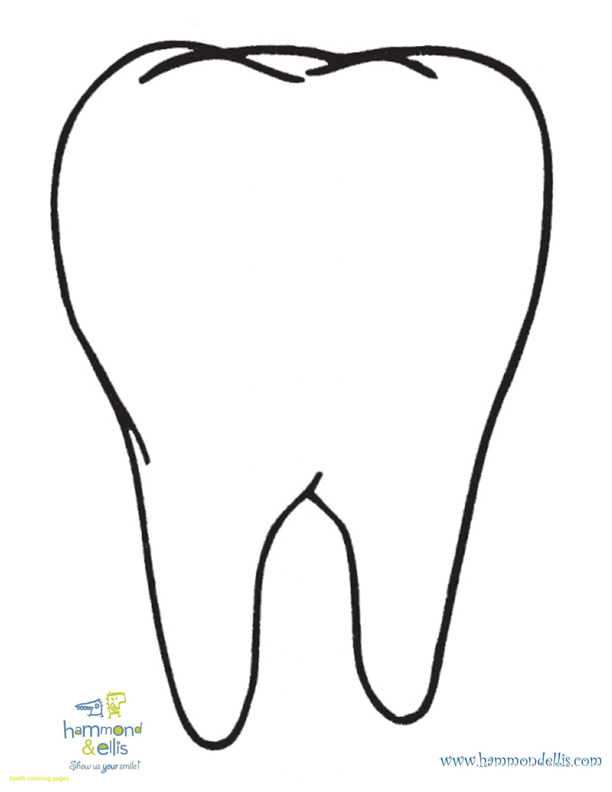 Tooth coloring pages ready to print teeth pictures teeth clip tooth template