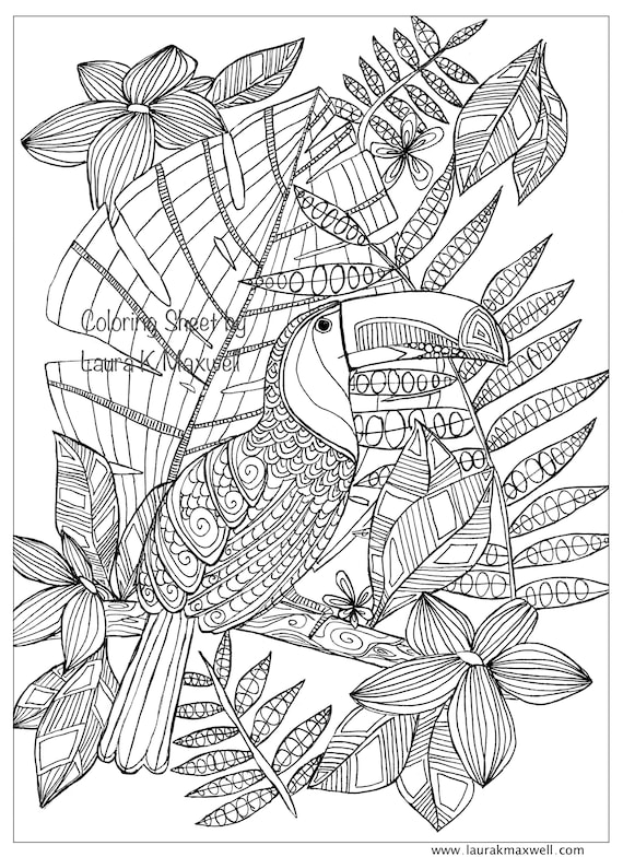 Toucan coloring sheet for adults and kids printable coloring page downloadable colouring sheet tropical birds instant download