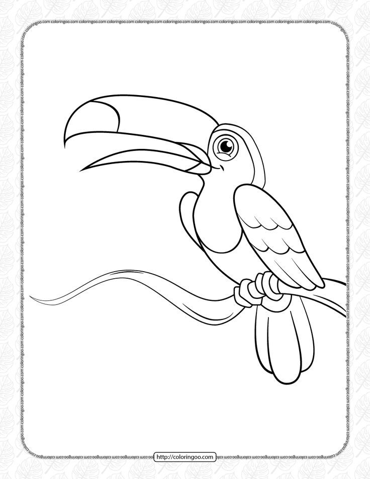 Cute toucan coloring pages bird coloring pages coloring pages animal coloring pages