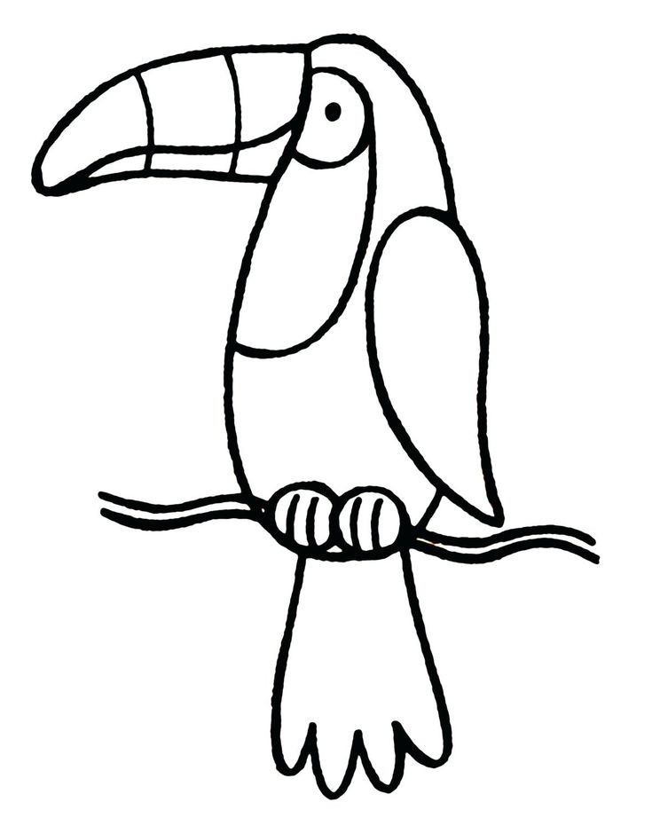 Toucan coloring pages