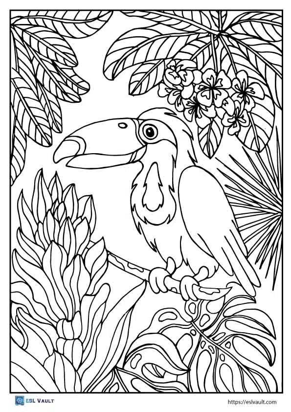 Free printable toucan coloring pages