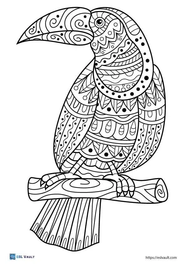 Free printable toucan coloring pages