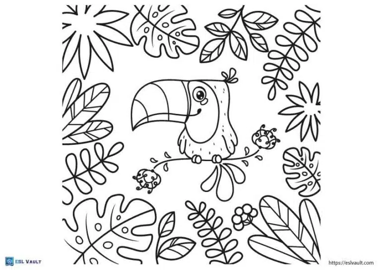 Free printable toucan coloring pages