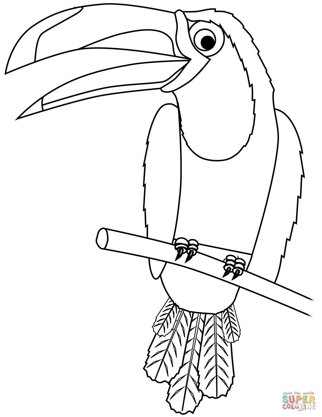 Toucan coloring page free printable coloring pages