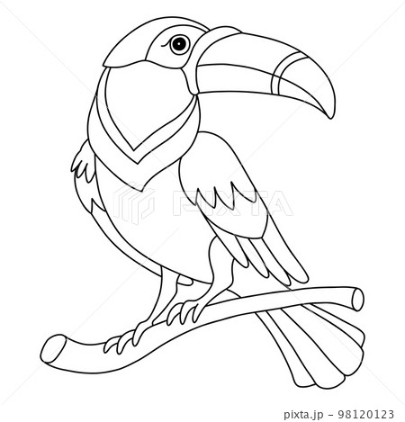 Toucan exotic bird coloring template vector