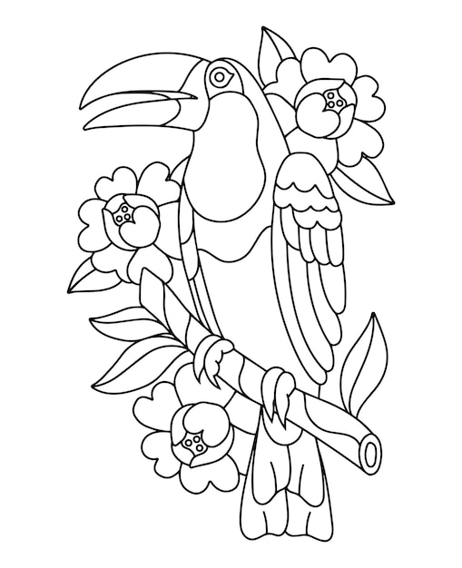 Premium vector coloring page with a bird a toucan sits on a branch with flowers tropical bird outline