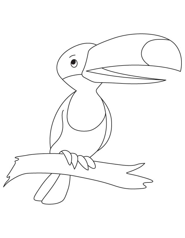 Toucan coloring pages