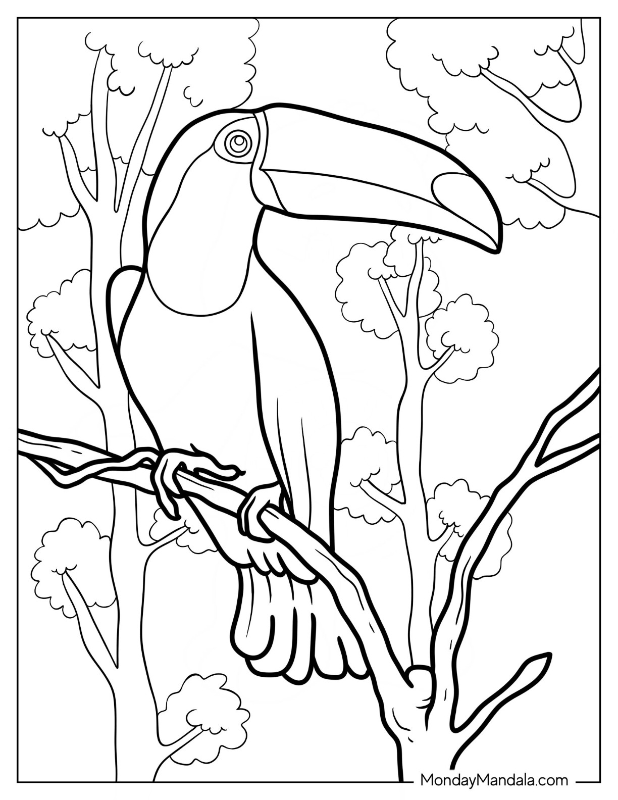 Toucan coloring pages free pdf printables