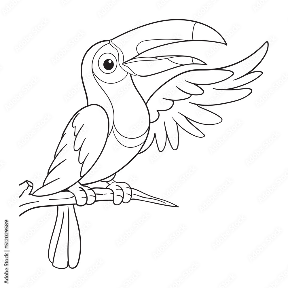 Coloring pages or books for kids cute toucan cartoon illustration vector