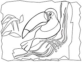 Toucans coloring pages