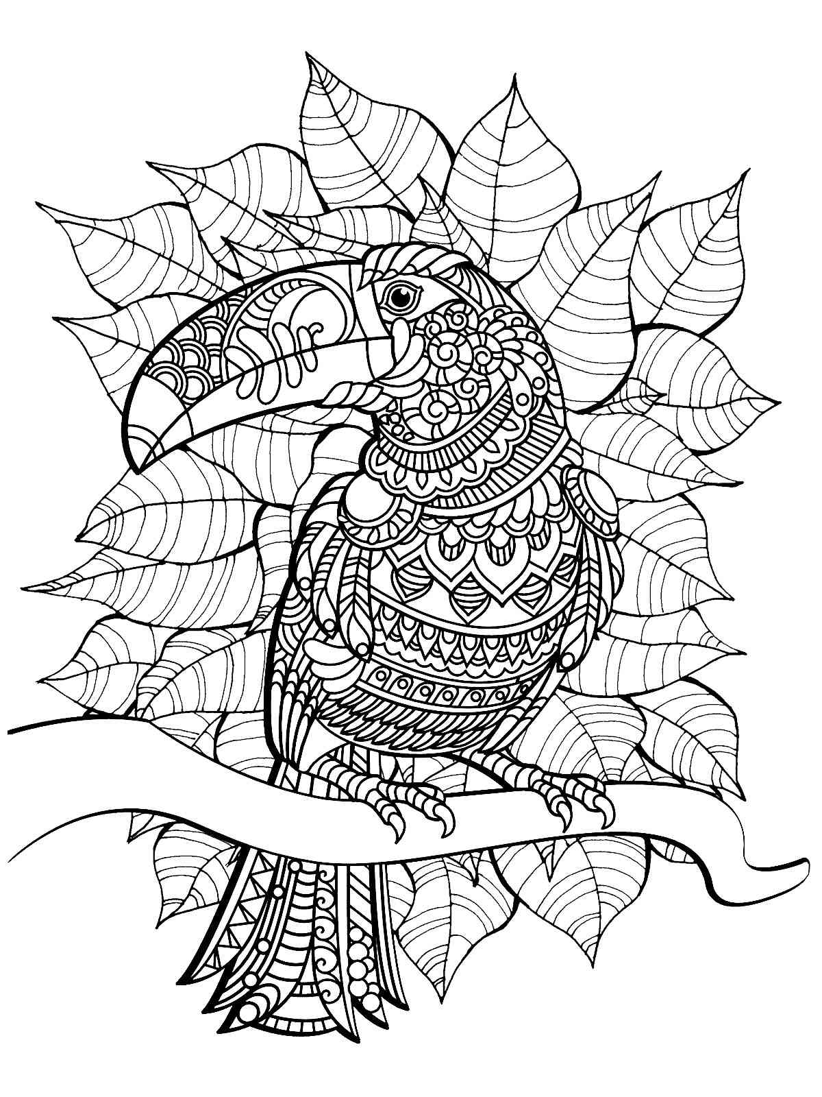 Toucan coloring pages for adults