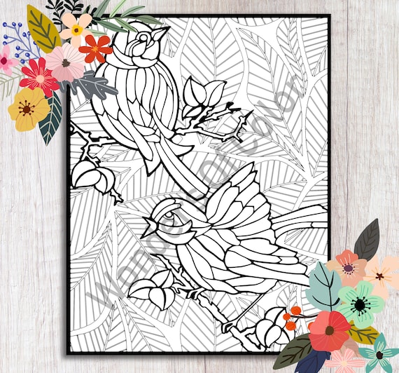 Printable adult coloring page birds on tree branches stress management art therapy instant digital download wonders of color