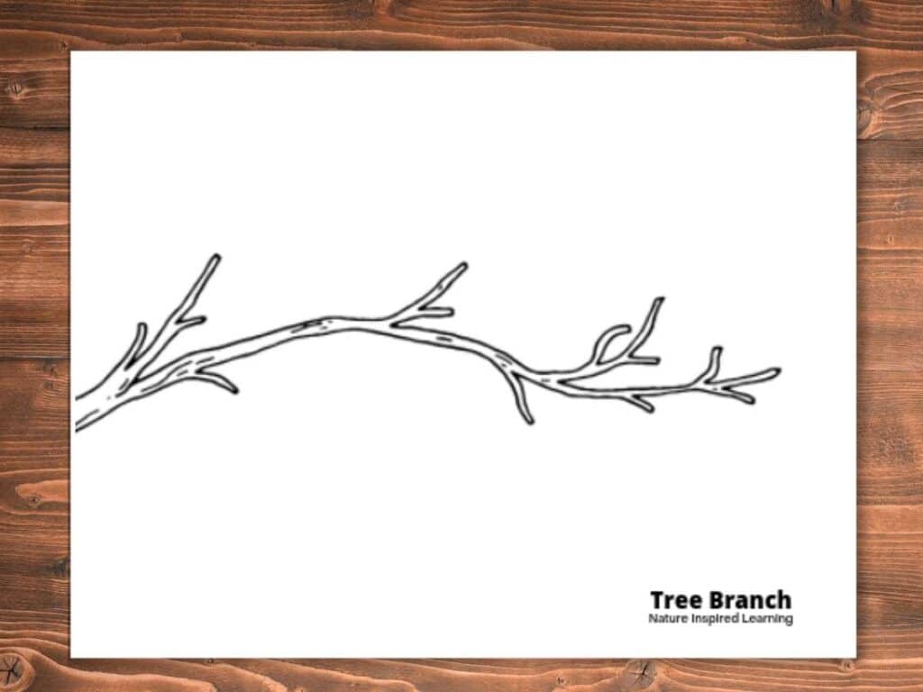 Printable fall tree coloring pages